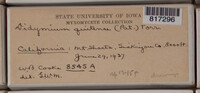 Image Associated With the Occurence